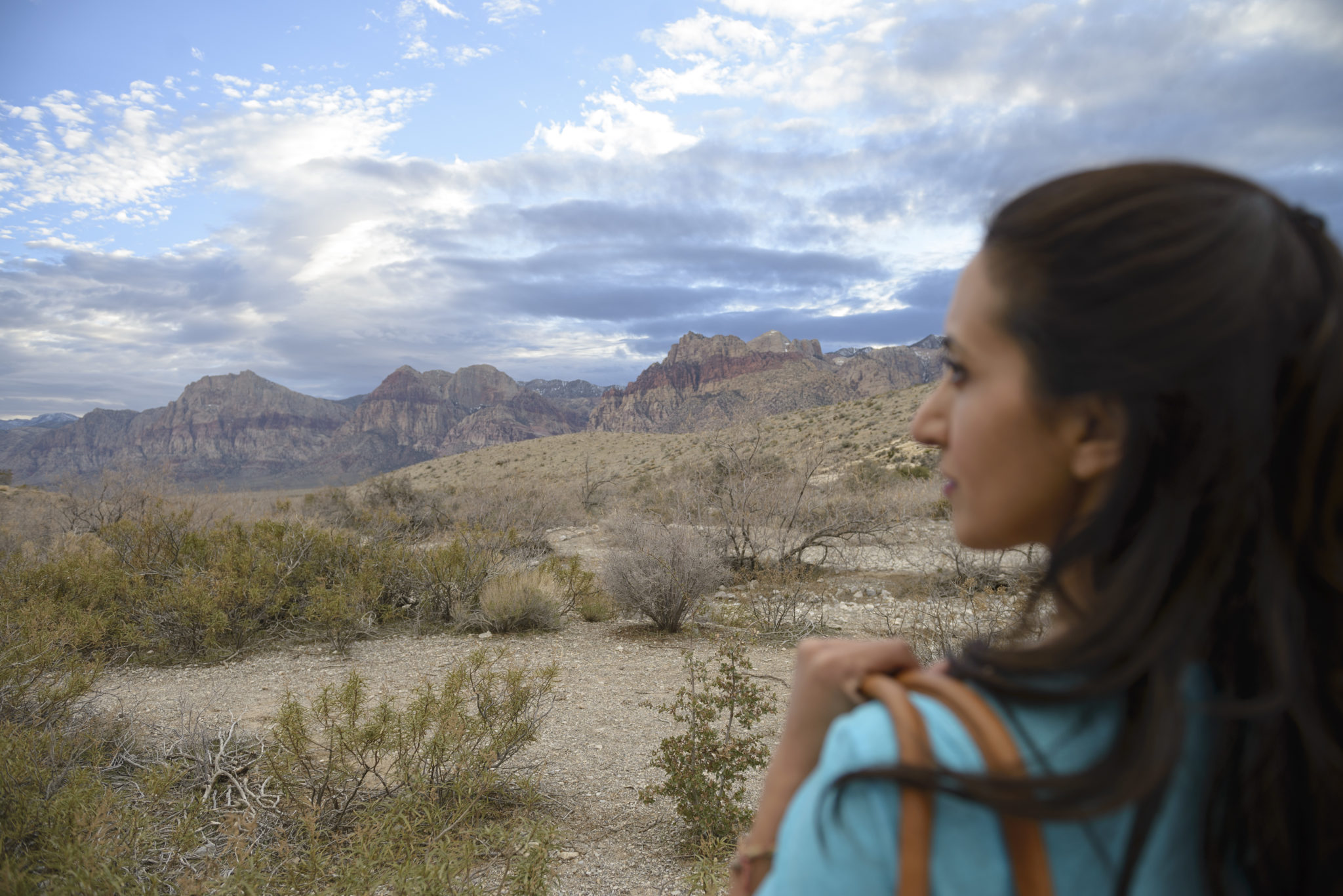 Paula Pant What Would You Do if You Didn't Have to Work